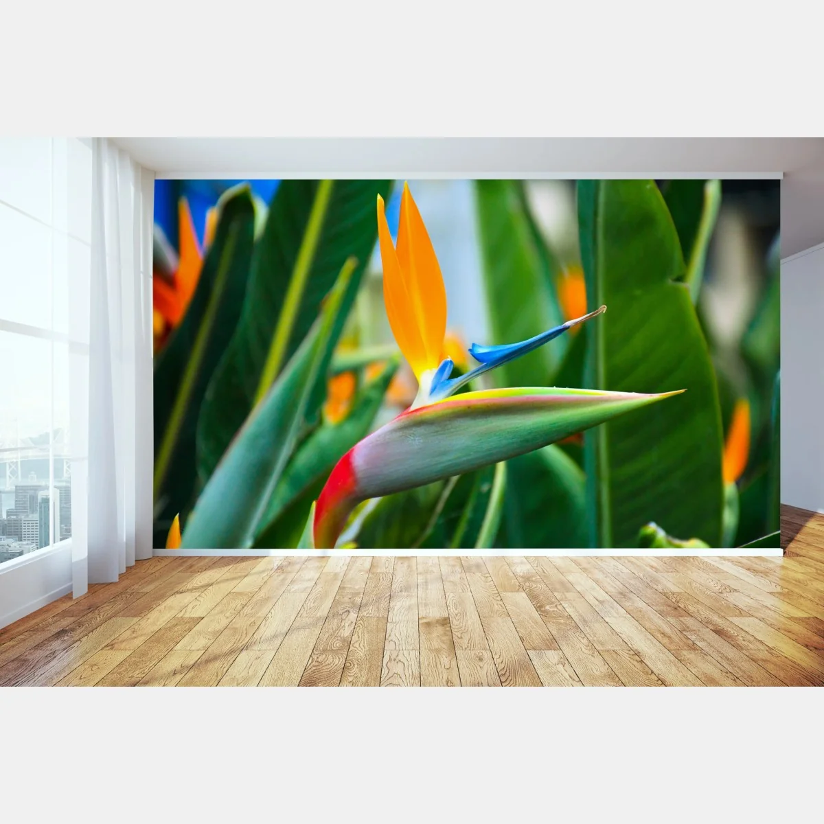 Fototapete leuchtende paradiesvogelblume – Wallnifity®