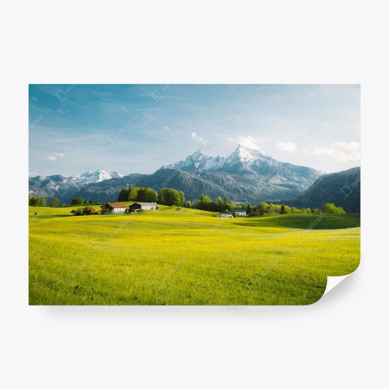 Fototapete urwaldpfad in Tasmanien – Wallnifity®