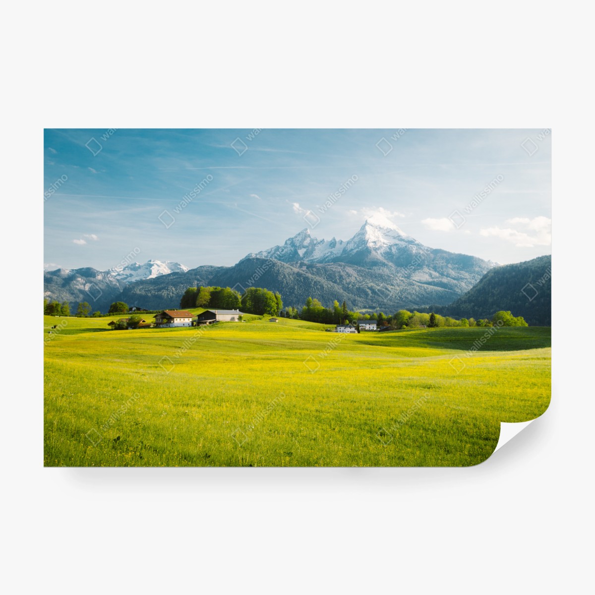 Fototapete alpwiese unter schneebedeckten gipfeln – Wallnifity® Fototapete alpwiese unter schneebedeckten gipfeln – Wallnifity®