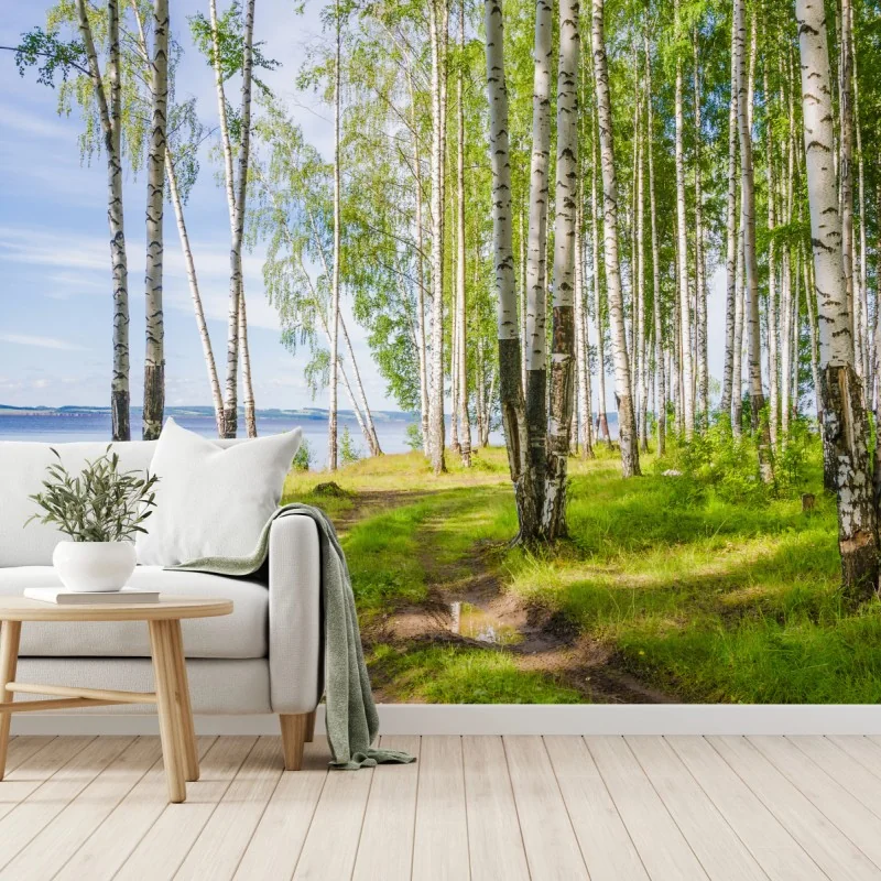 Fototapete sonnige birkenlichtung am wasser – Wallnifity® Fototapete sonnige birkenlichtung am wasser – Wallnifity®