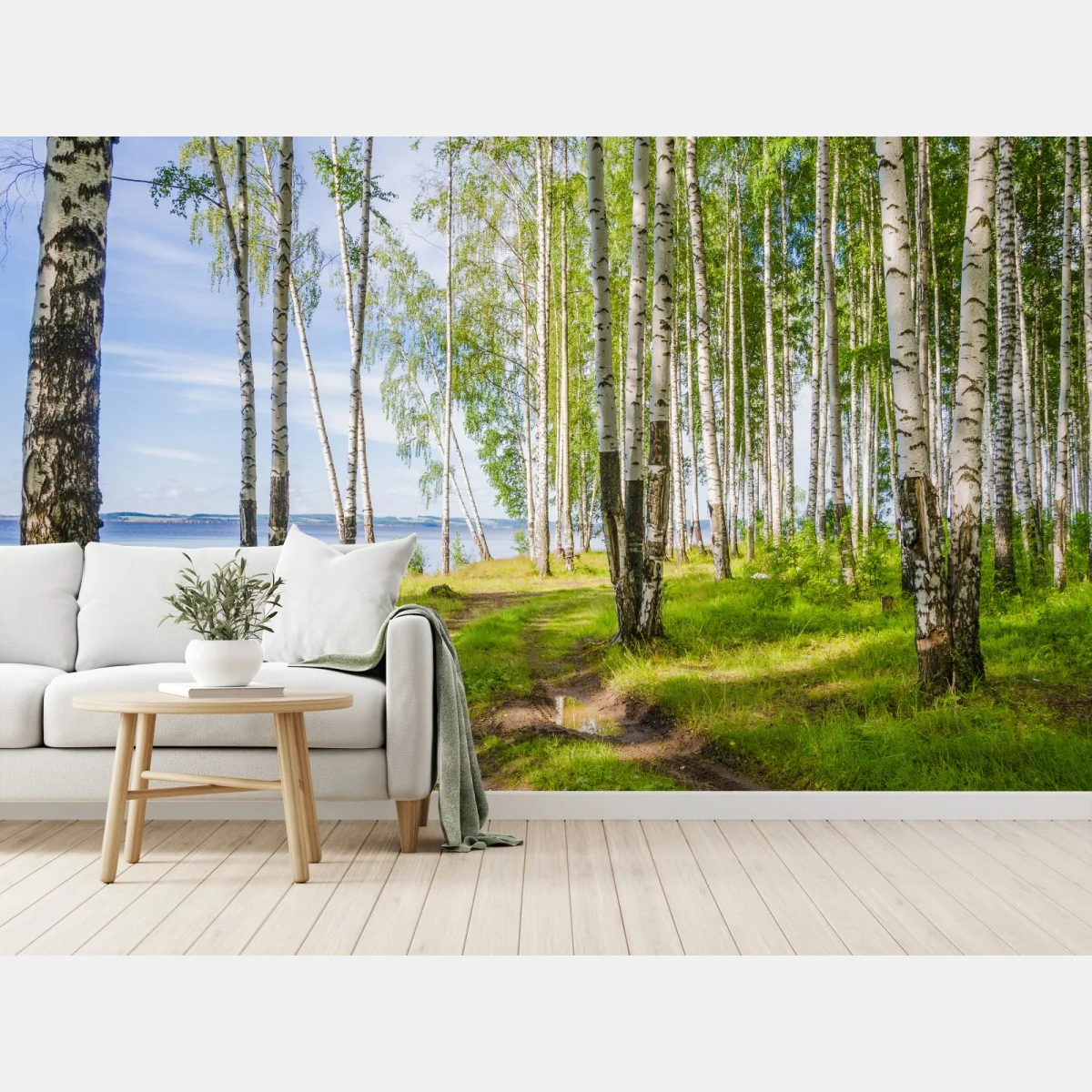 Fototapete sonnige birkenlichtung am wasser – Wallnifity® Fototapete sonnige birkenlichtung am wasser – Wallnifity®