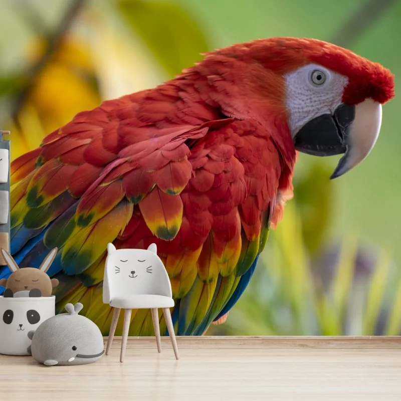 Fototapete intensives porträt einer scharlachara – Wallnifity®