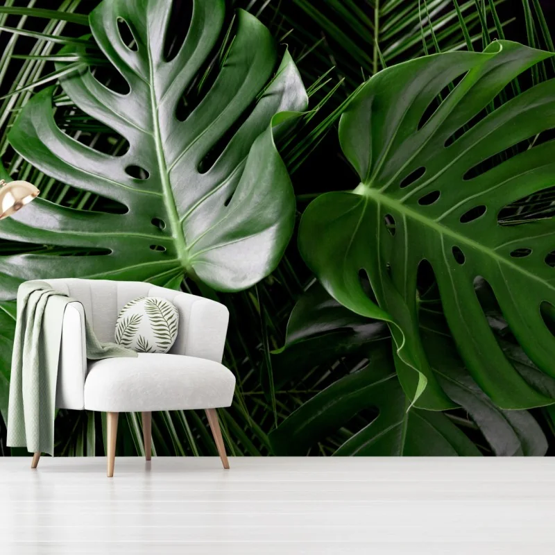 Fototapete üppige monstera-blätter