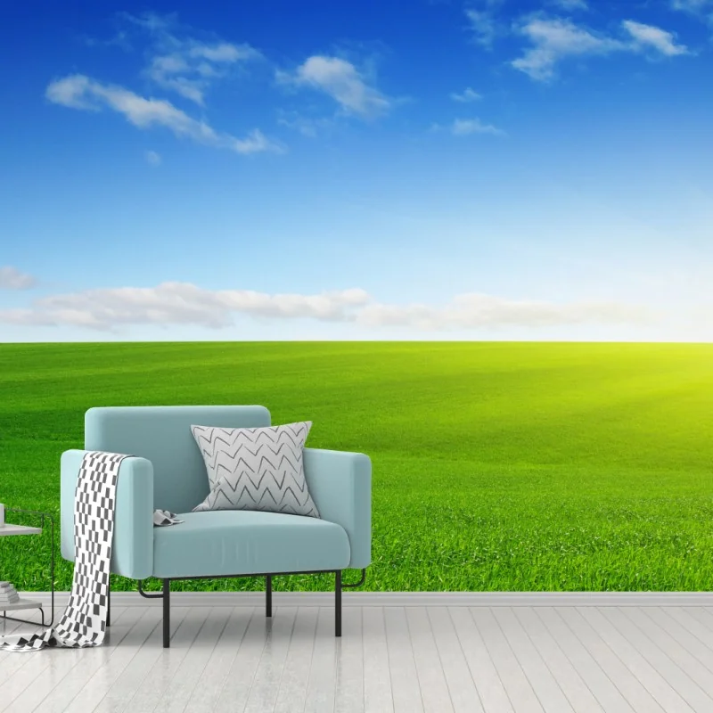 Fototapete sonnenbeschienene grüne wiese im morgenlicht