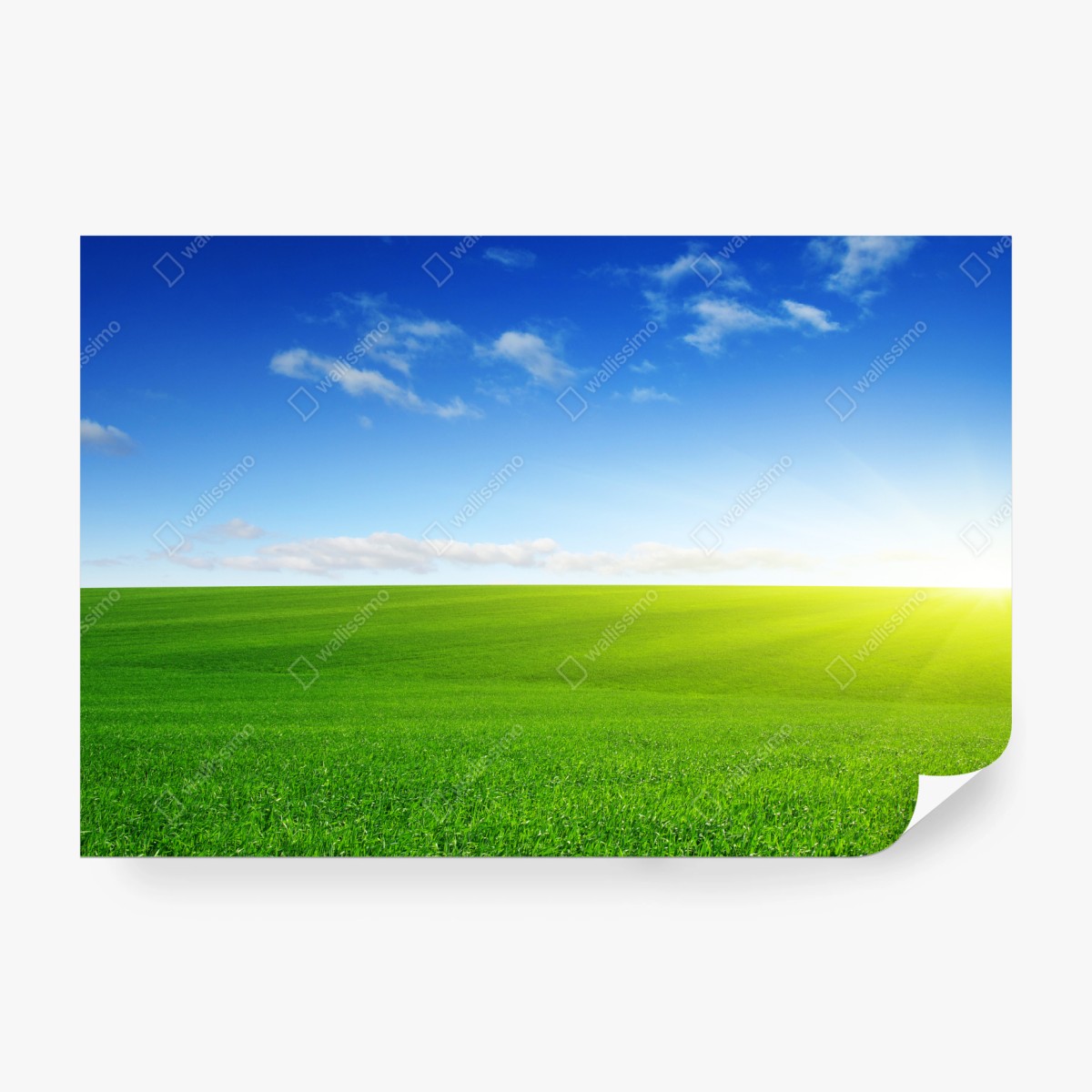 Fototapete sonnenbeschienene grüne wiese im morgenlicht – Wallnifity® Fototapete sonnenbeschienene grüne wiese im morgenlicht – Wallnifity®