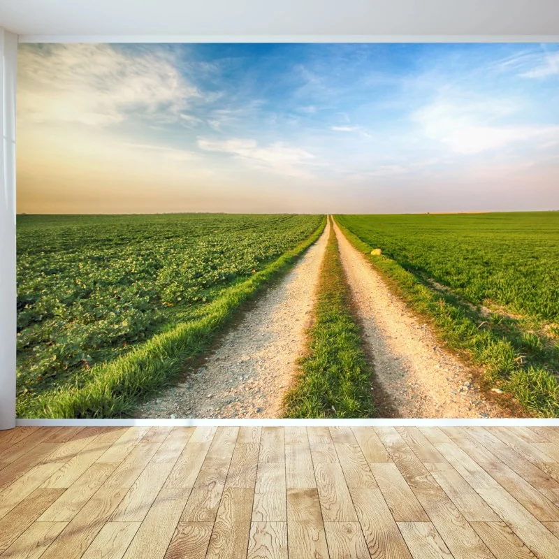 Fototapete feldweg durch grüne felder