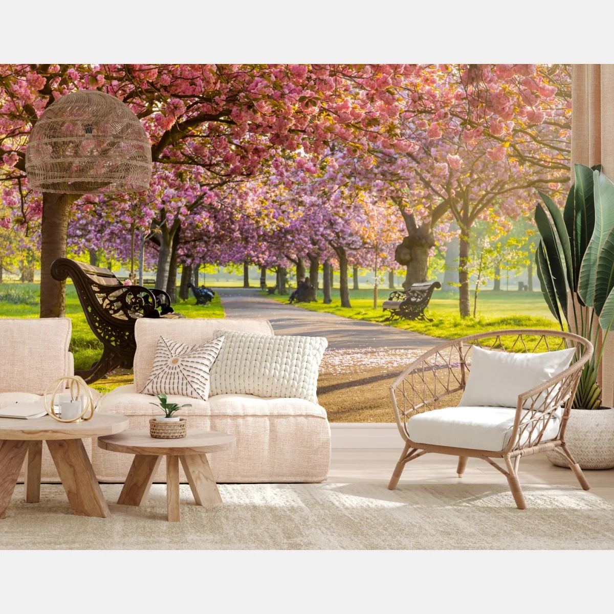 Fototapete kirschblütenallee im frühling – Wallnifity® Fototapete kirschblütenallee im frühling – Wallnifity®
