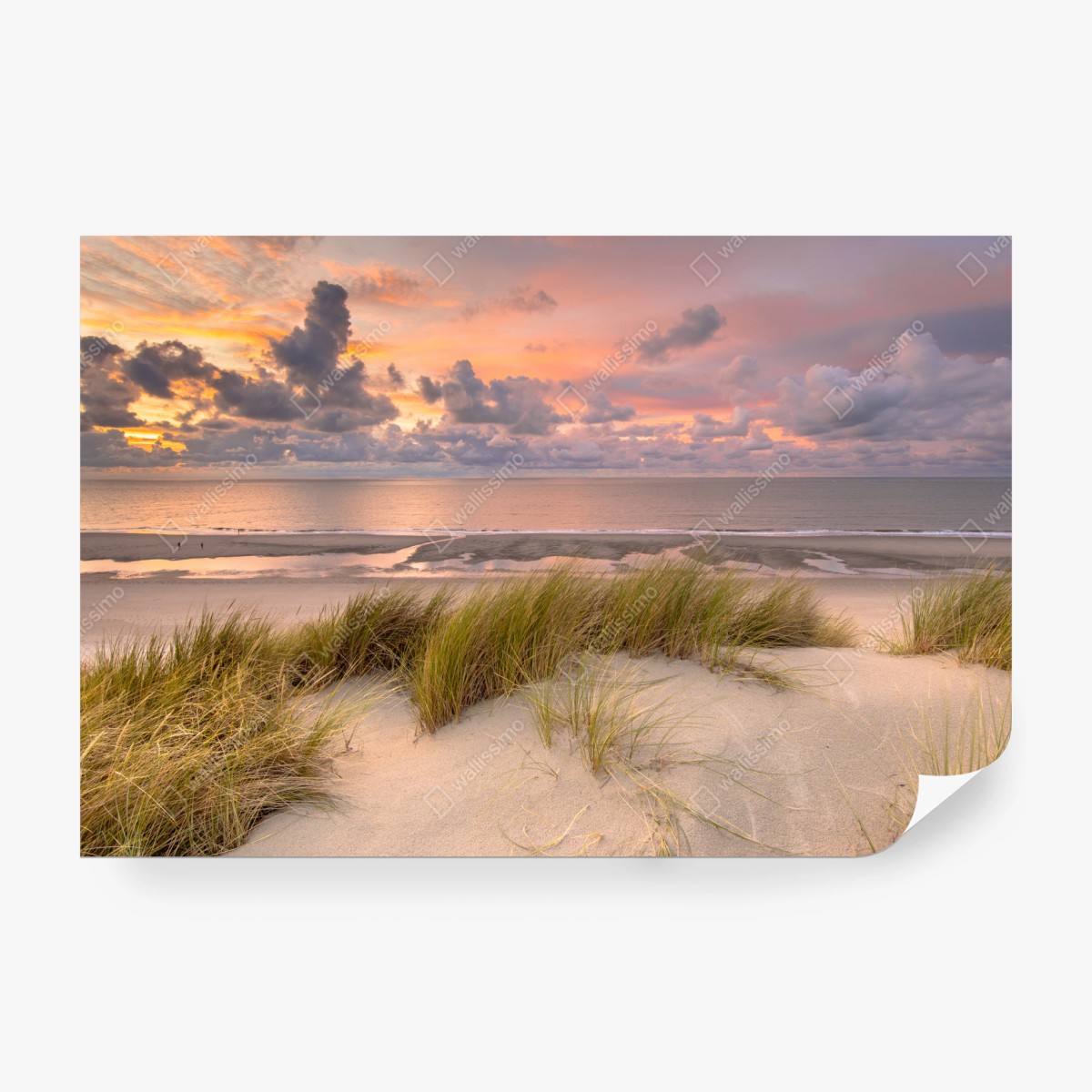 Fototapete sonnenuntergang über dünen in Zeeland – Wallnifity® Fototapete sonnenuntergang über dünen in Zeeland – Wallnifity®