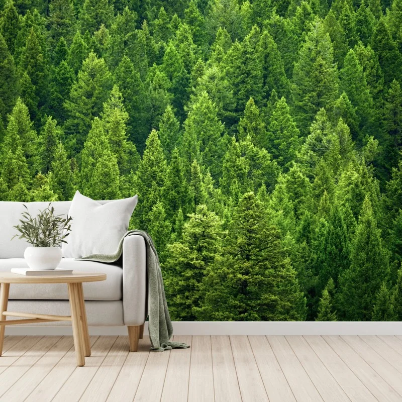 Fototapete üppige kronen eines kieferwaldes – Wallnifity® Fototapete üppige kronen eines kieferwaldes – Wallnifity®