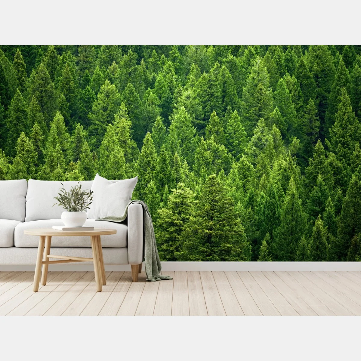 Fototapete üppige kronen eines kieferwaldes – Wallnifity® Fototapete üppige kronen eines kieferwaldes – Wallnifity®