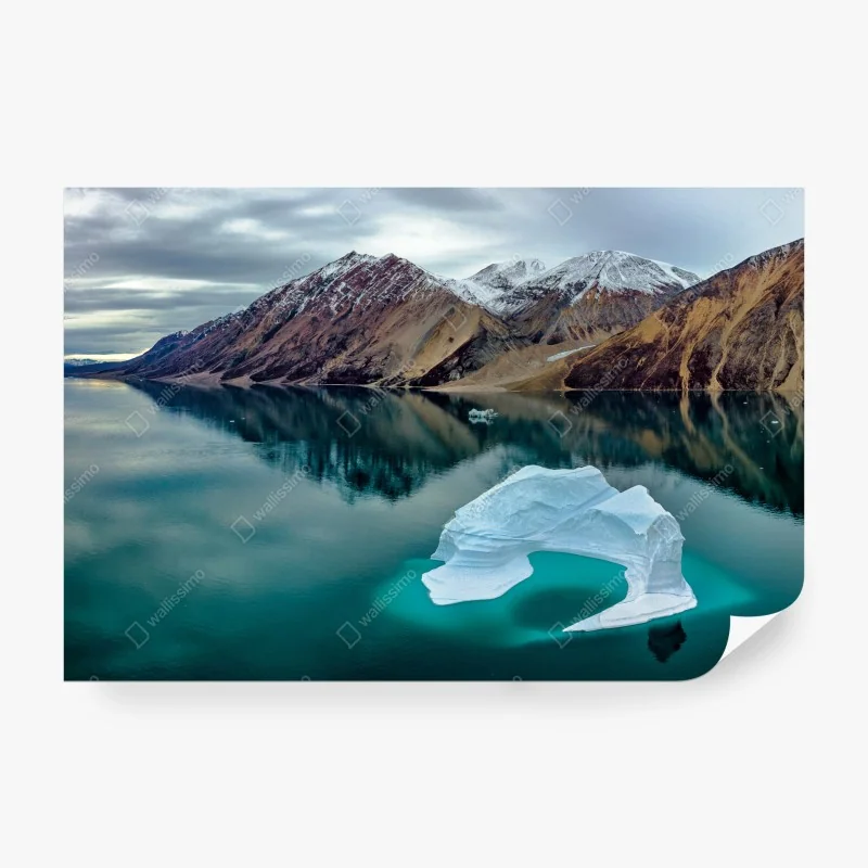 Fototapete nebliger fichtenwald am morgen – Wallnifity®