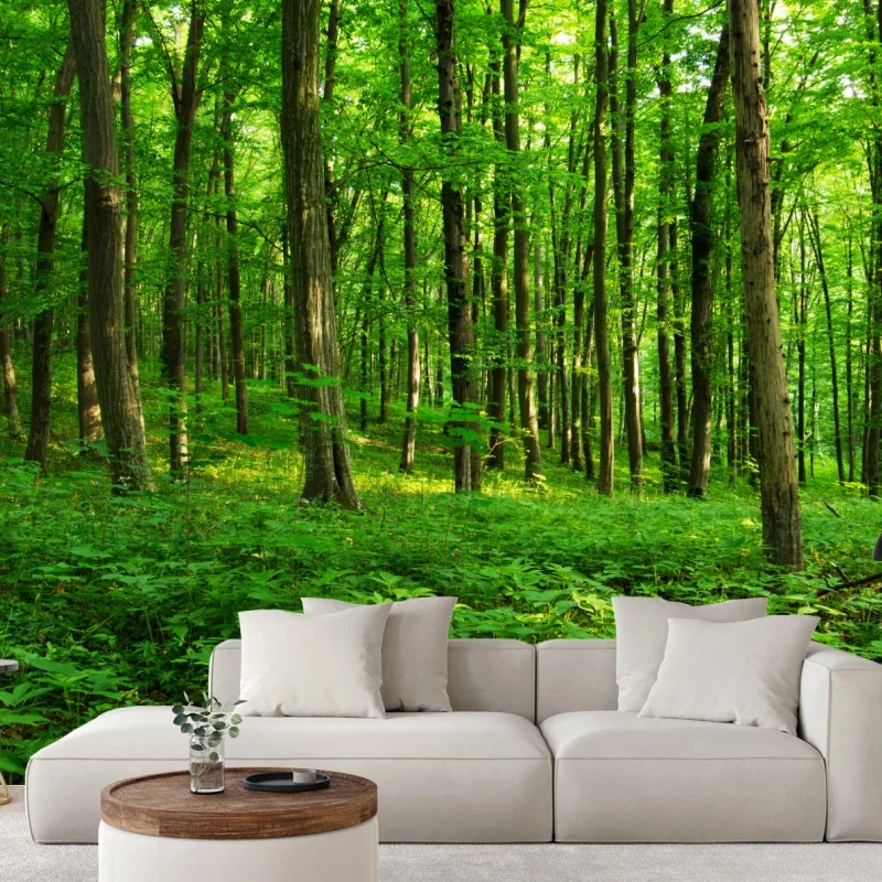 Fototapete sonniger grüner wald im frühling