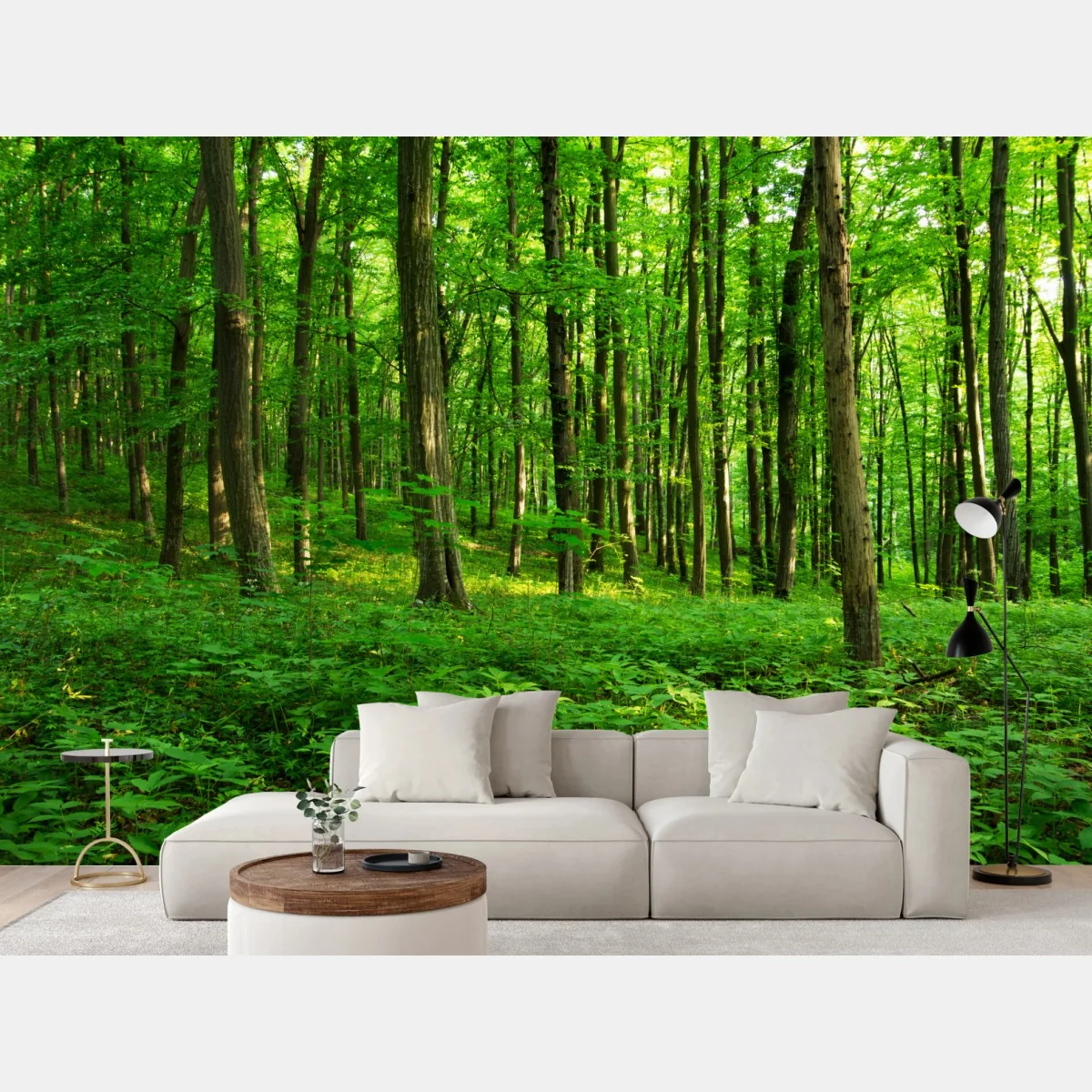 Fototapete sonniger grüner wald im frühling – Wallnifity® Fototapete sonniger grüner wald im frühling – Wallnifity®