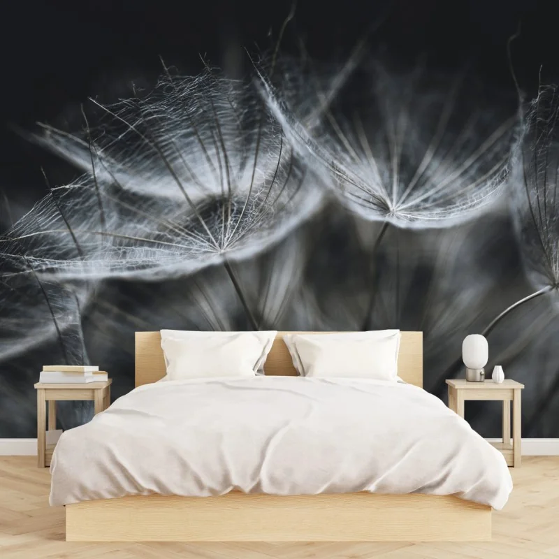 Fototapete zarte löwenzahnsamen in monochrom