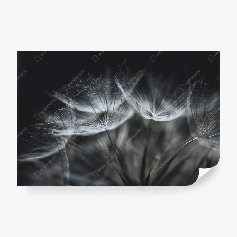 Fototapete fröhliches avocado muster – Wallnifity®