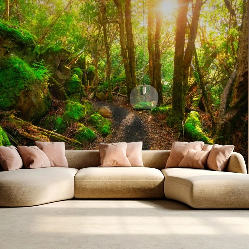 Fototapete sonniger pfad im regenwald der Tasman-Halbinsel, Tasmanien