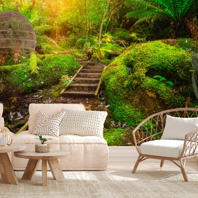 Fototapete moosiger regenwaldpfad auf der Tasman-Halbinsel