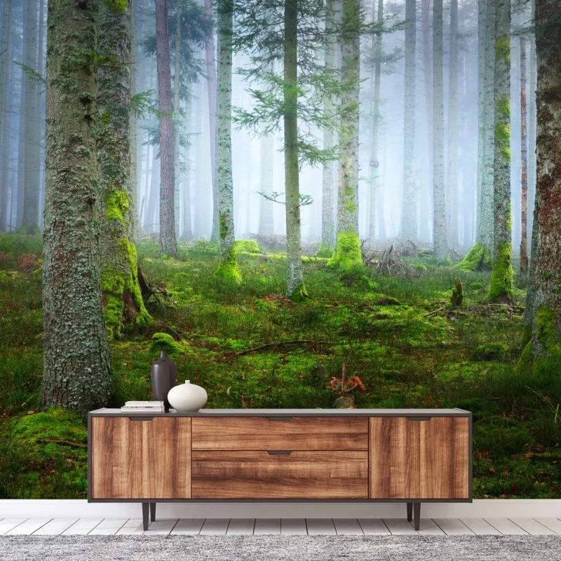 Fototapete nebliger kiefernwald aus dem Elsass – Wallnifity® Fototapete nebliger kiefernwald aus dem Elsass – Wallnifity®