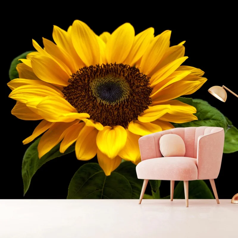 Fototapete leuchtende sonnenblume auf schwarzem hintergrund