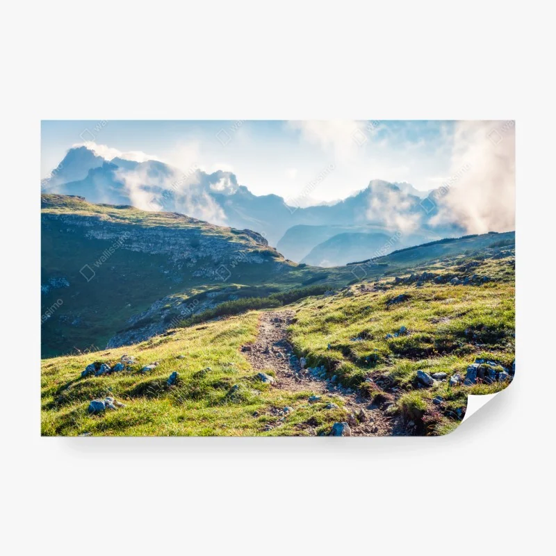 Fototapete ruhiger grüner steg durch schilfland zur rustikalen hütte – Wallnifity®