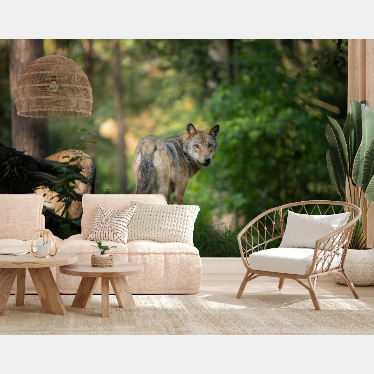 Fototapete wolf auf der lichtung im wald – Wallnifity® Fototapete wolf auf der lichtung im wald – Wallnifity®