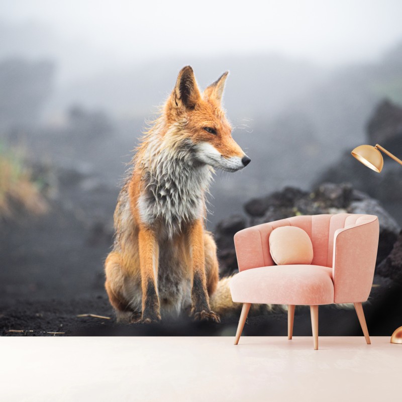 Fototapete roter fuchs in nebliger landschaft – Wallnifity® Fototapete roter fuchs in nebliger landschaft – Wallnifity®