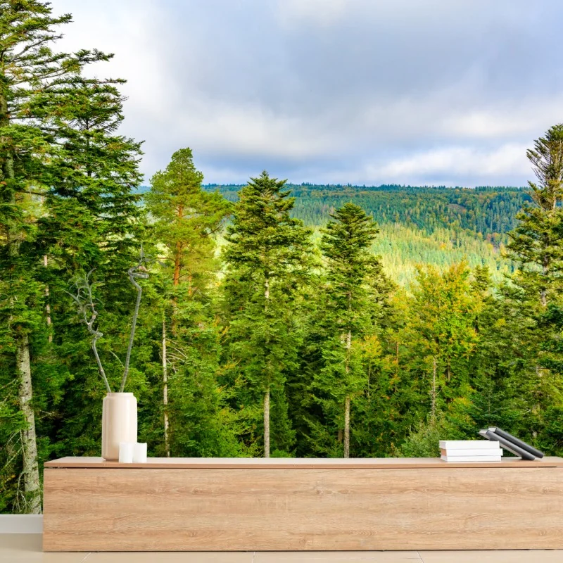 Fototapete Schwarzwald herbstliche waldlandschaft – Wallnifity® Fototapete Schwarzwald herbstliche waldlandschaft – Wallnifity®