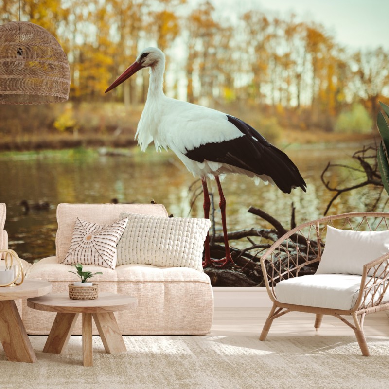 Fototapete weißer storch am herbstlichen see – Wallnifity®