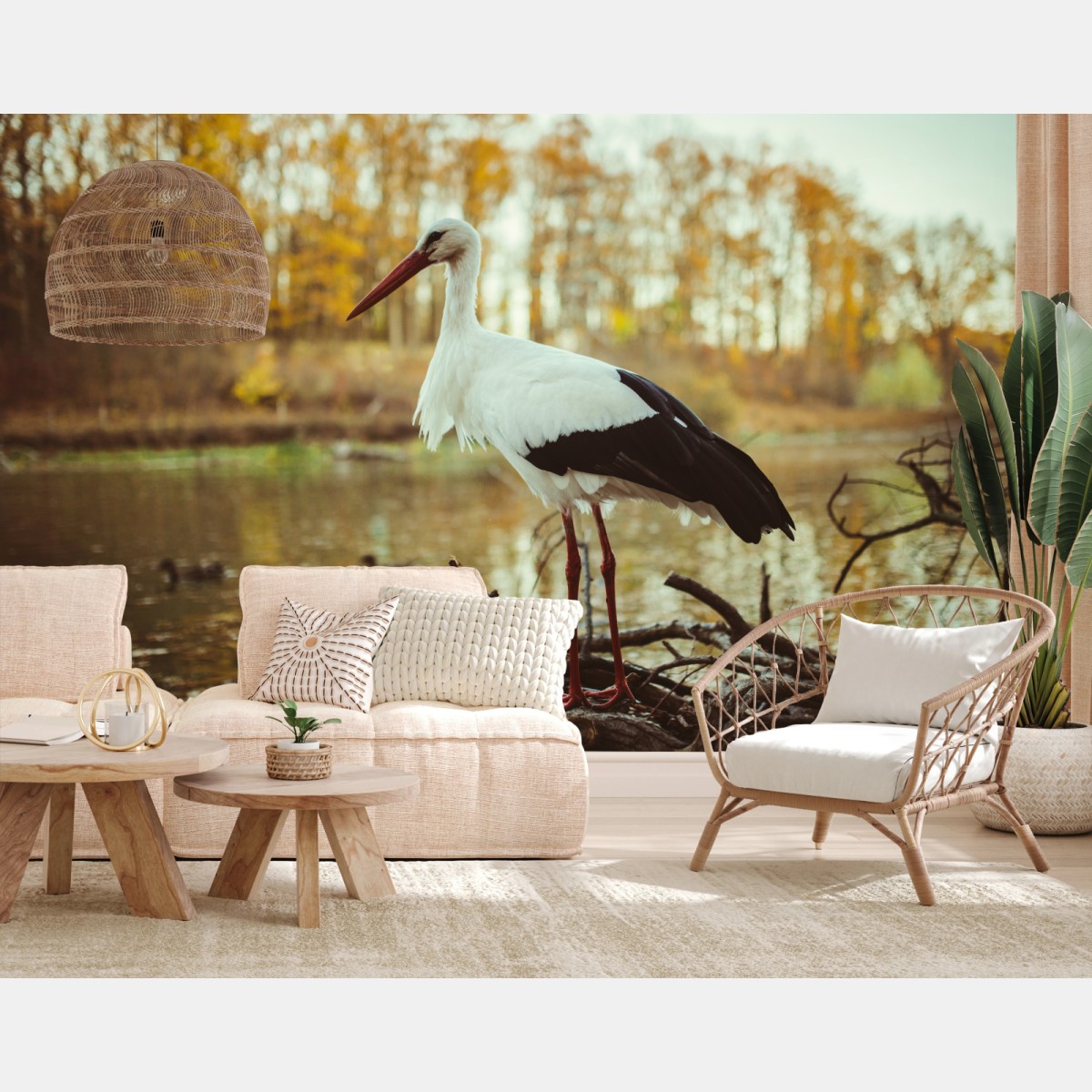 Fototapete weißer storch am herbstlichen see – Wallnifity®