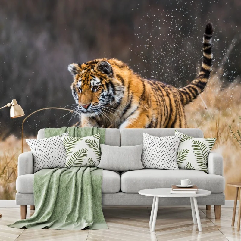 Fototapete sibirischer tiger in bewegung