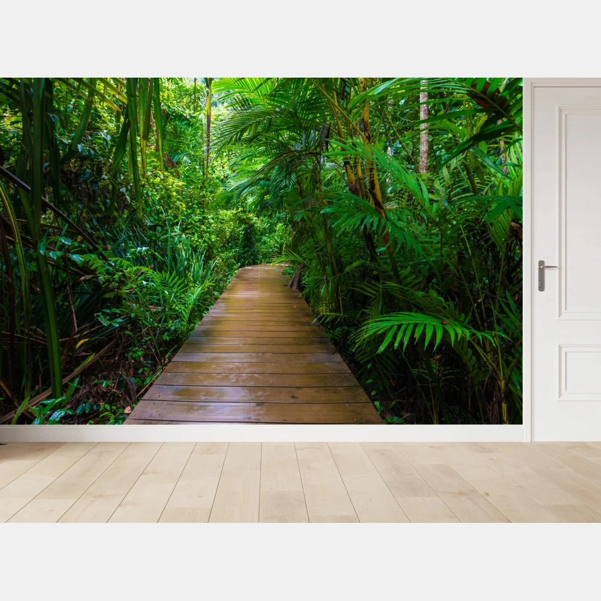 Fototapete mangrovensteg durch üppigen grünen dschungel – Wallnifity® Fototapete mangrovensteg durch üppigen grünen dschungel – Wallnifity®