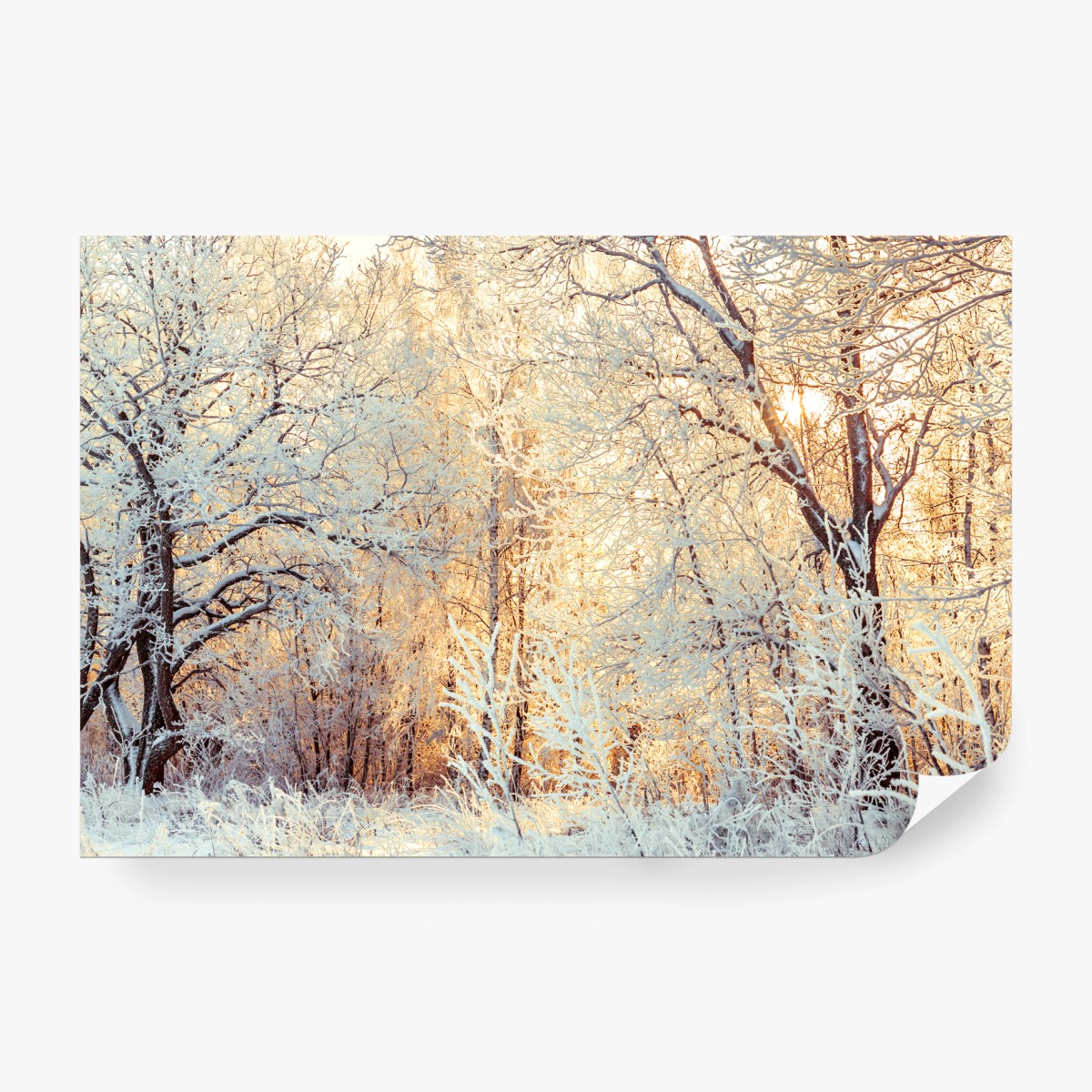 Fototapete wintersonne im verschneiten wald – Wallnifity® Fototapete wintersonne im verschneiten wald – Wallnifity®