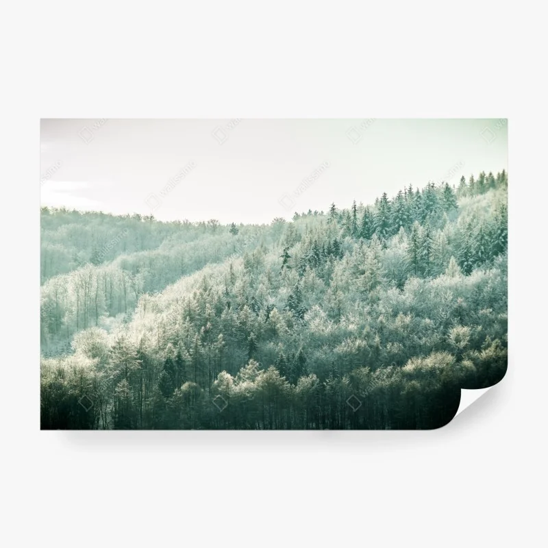 Fototapete üppige tropische dschungellandschaft – Wallnifity®