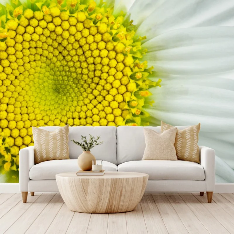 Fototapete makro gänseblümchen spiralmuster