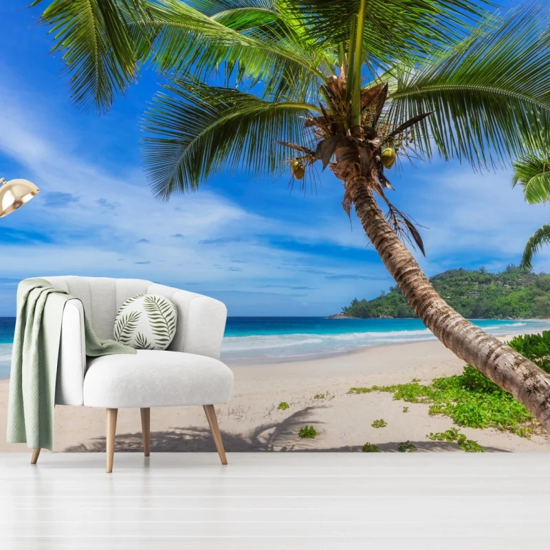 Fototapete tropischer strand mit palme – Wallnifity®