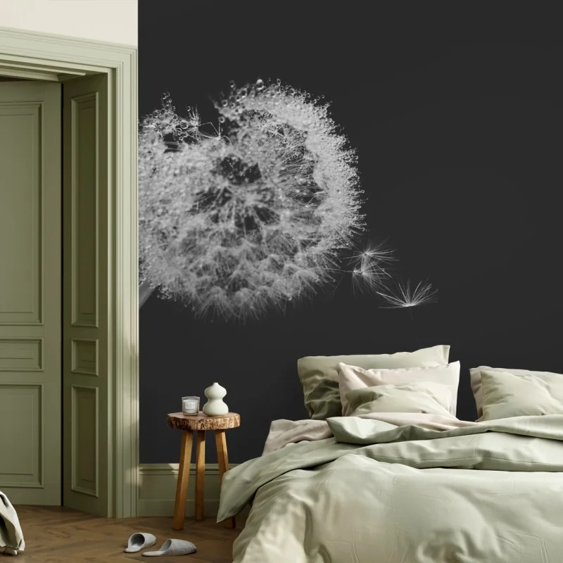 Fototapete zarter löwenzahn in monochrom