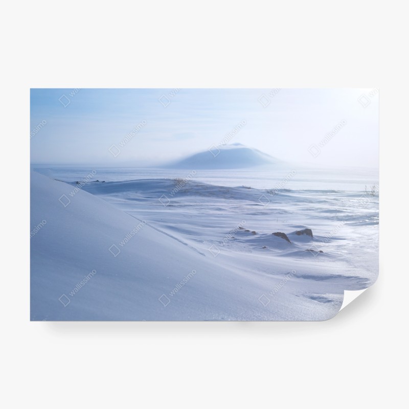 Fototapete fröhliches avocado muster – Wallnifity®