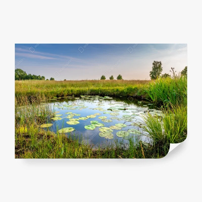 Fototapete leuchtender sonnenblumenstrauß auf vintage-hocker – Wallnifity®