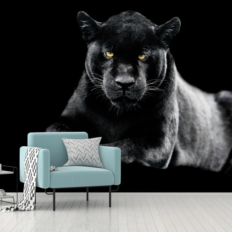 Fototapete porträt eines schwarzen panthers vor schwarzem hintergrund – Wallnifity®