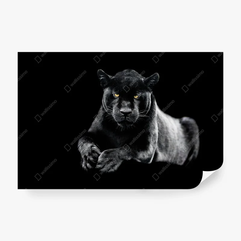 Fototapete sonnenbeschienener gebirgskamm bei sonnenaufgang – Wallnifity®