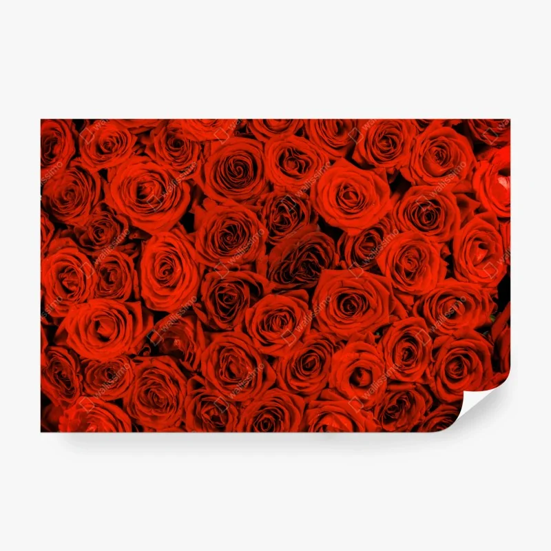 Fototapete handgezeichnetes rosenmuster – Wallnifity®