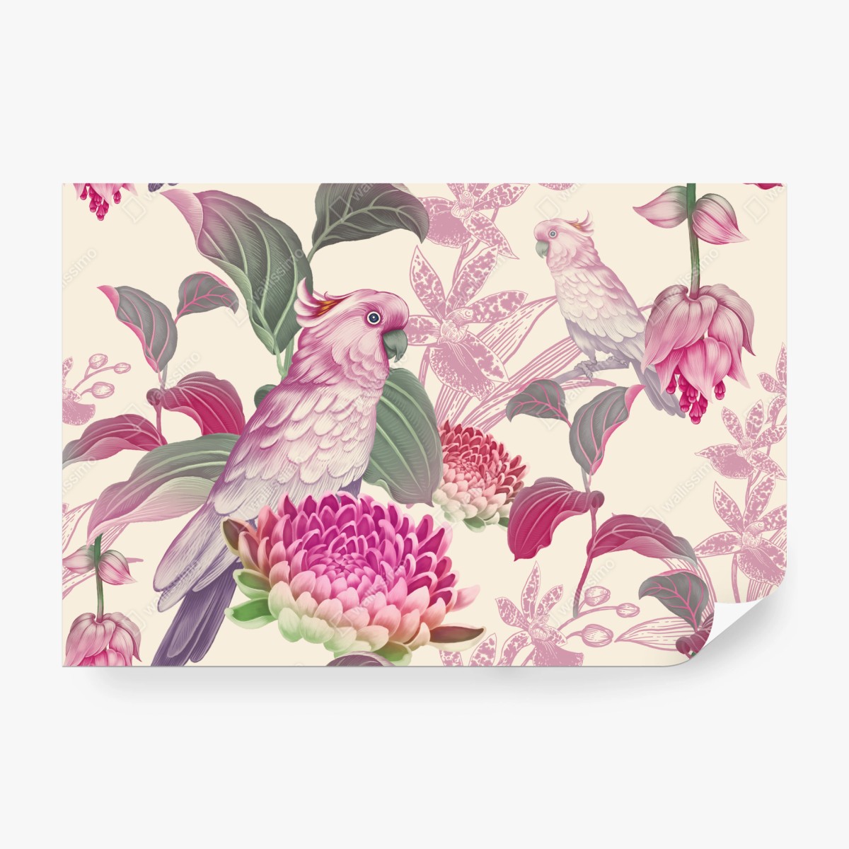Fototapete rosa papagei und chrysantheme - botanisches motiv – Wallnifity® Fototapete rosa papagei und chrysantheme - botanisches motiv – Wallnifity®