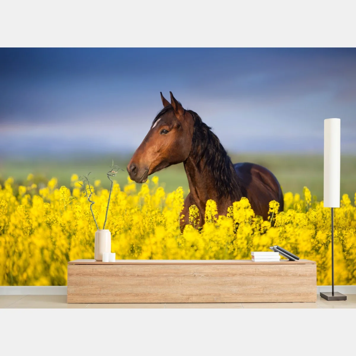 Fototapete braunes pferd im gelben rapsfeld – Wallnifity®