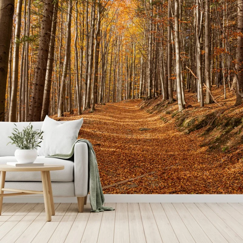 Fototapete herbstlicher waldweg mit goldenen blättern