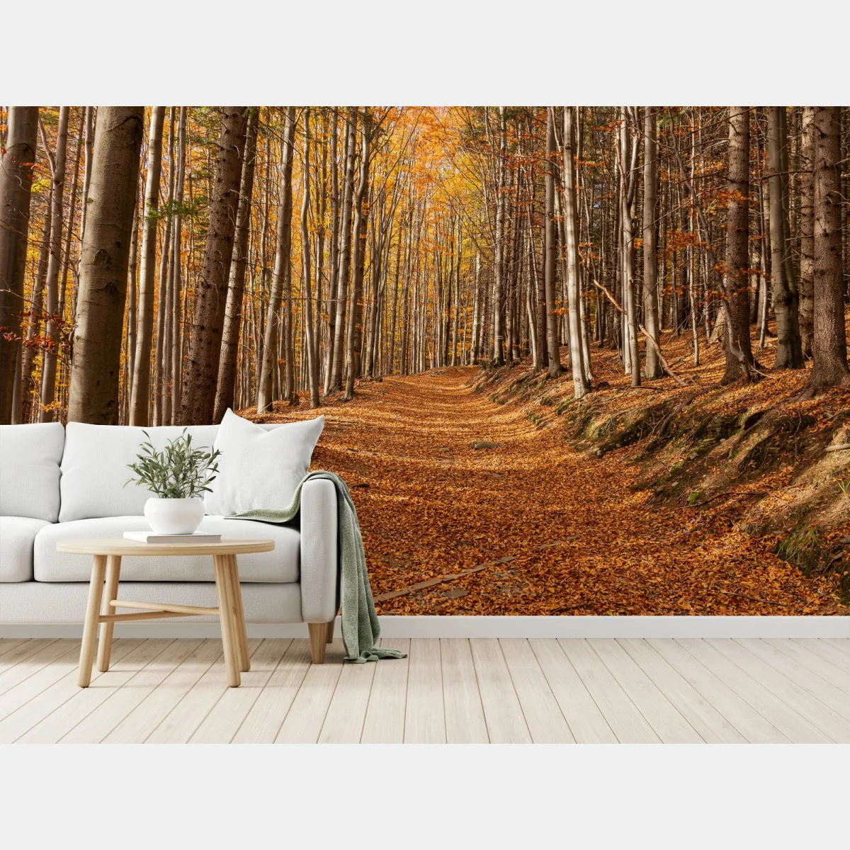 Fototapete herbstlicher waldweg mit goldenen blättern – Wallnifity® Fototapete herbstlicher waldweg mit goldenen blättern – Wallnifity®