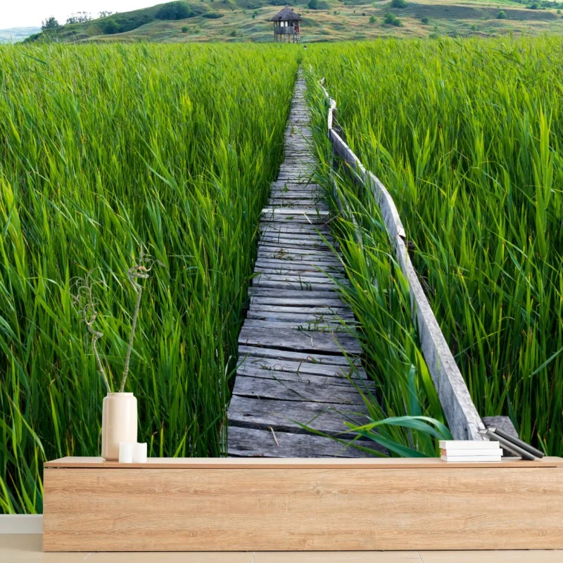 Fototapete ruhiger grüner steg durch schilfland zur rustikalen hütte – Wallnifity® Fototapete ruhiger grüner steg durch schilfland zur rustikalen hütte – Wallnifity®