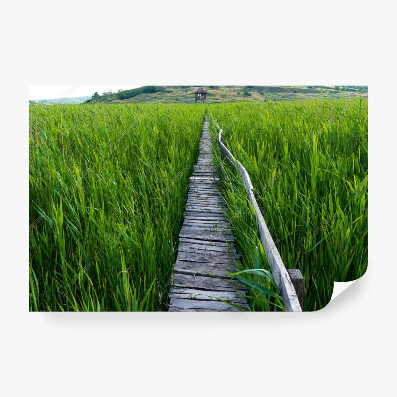 Fototapete tropischer dschungel mit wildtieren – Wallnifity®