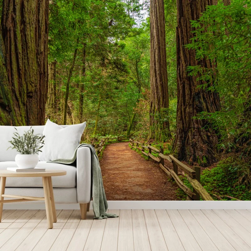 Fototapete majestätischer waldpfad zwischen mammutbäumen