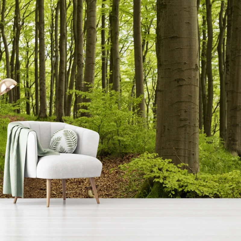 Fototapete ruhiger grüner waldweg – Wallnifity® Fototapete ruhiger grüner waldweg – Wallnifity®