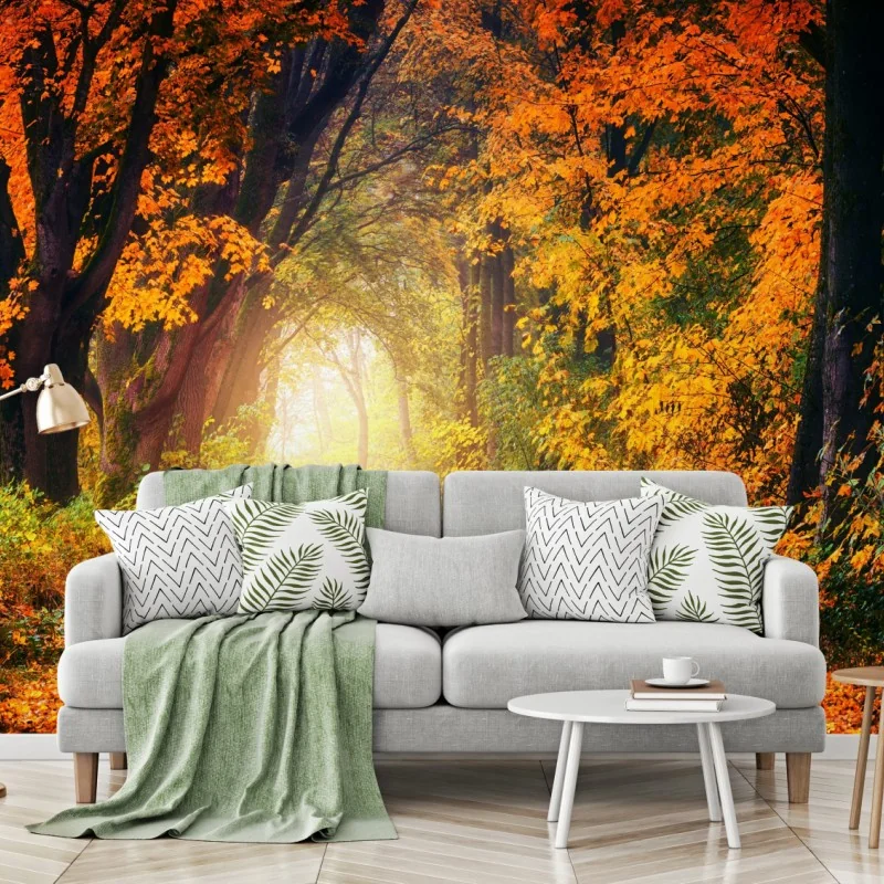 Fototapete herbstlicher waldpfad im goldenen licht